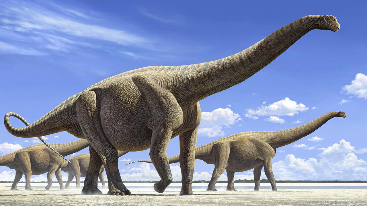 Маюнгозавр. Пситтакозавр сибирский андрей атучин. Маменчизавр диплодок. Сибиротитан динозавр. Sibirotitan astrosacralis.