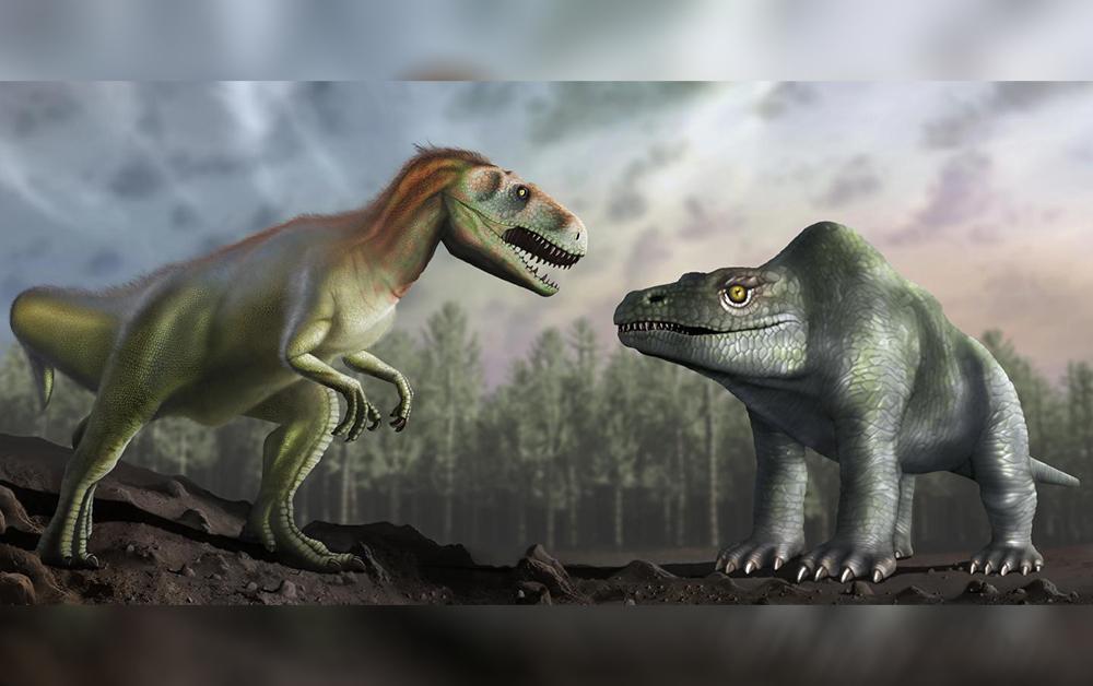 Какой 1 динозавр. Мегалозавр динозавр. Мегалозавр 1824. Мегалозавр реконструкция. Мегалозавр первая реконструкция.