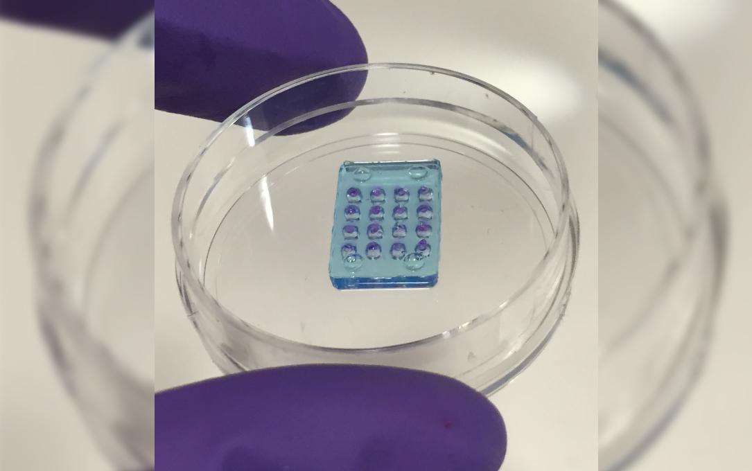 Мягкая искусственная сетчатка поможет при глазных заболеваниях - Индикатор