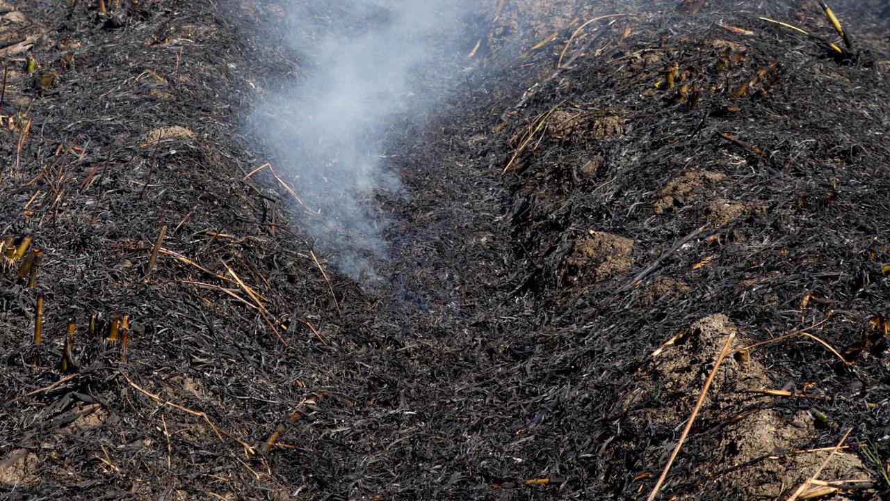 Торф сжигание. Подземный торфяной Лесной пожар. Почва после пожара. Почва после лесного пожара. Почва в лесу.