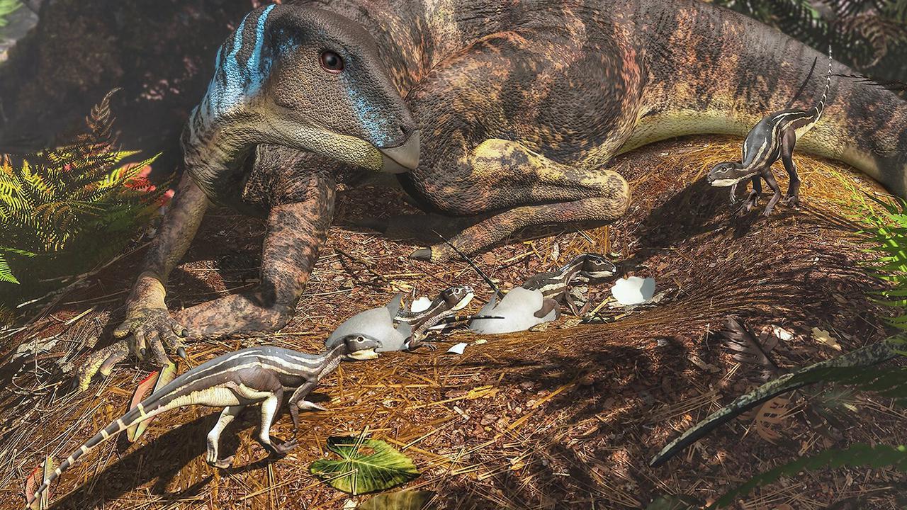 Динозавры Австралии. Детеныши динозавров. Животные после динозавров. Покажи динозавров.