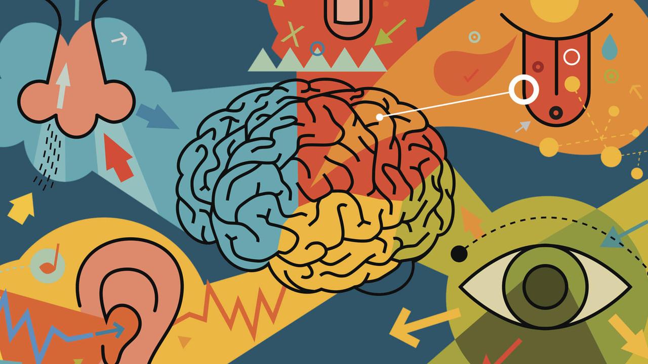 Ощущение и восприятие картинки для презентации