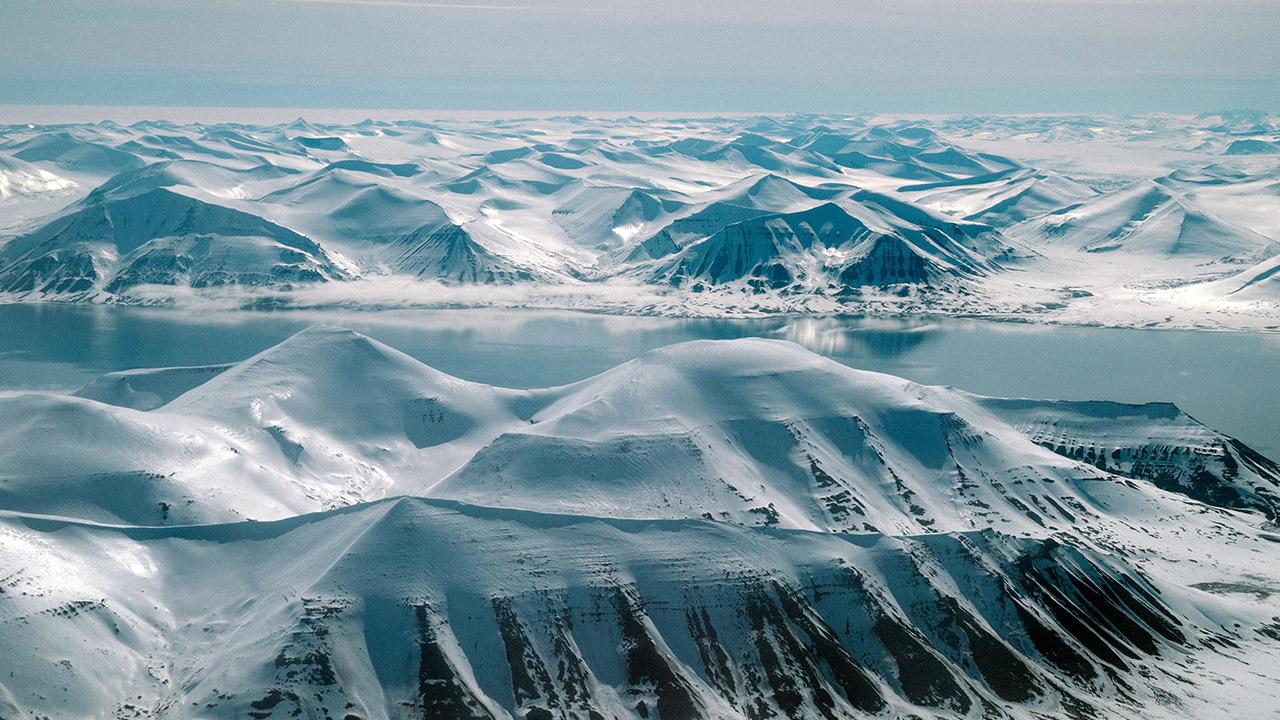 За состоянием арктических почв проследили из космоса - Индикатор