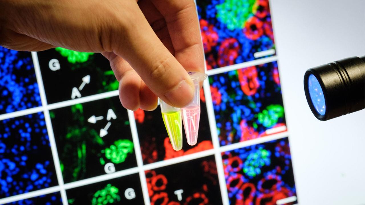 Правильное термическое обработка пищи
