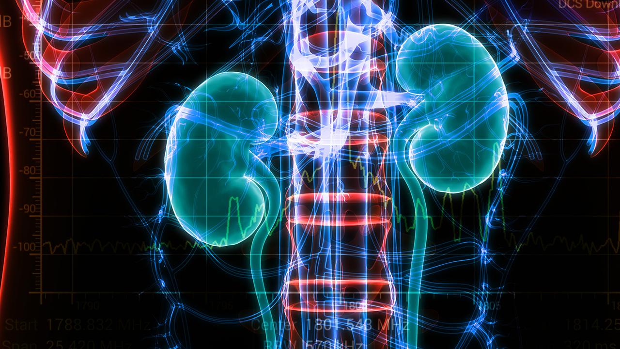 Лазерный спектроанализатор поможет диагностировать почечные заболевания ...