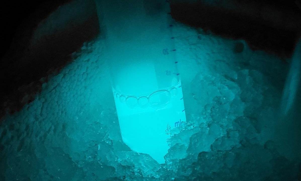 Импликации для будущих исследований