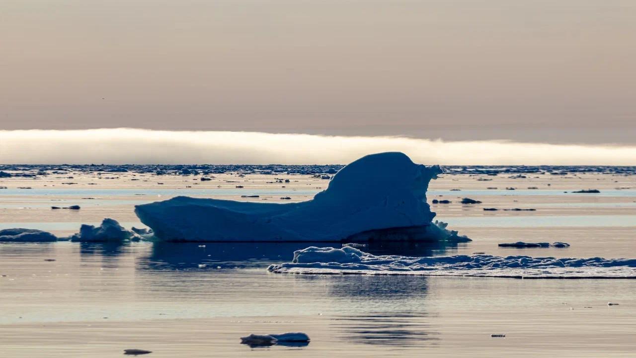 Соленость желтого моря