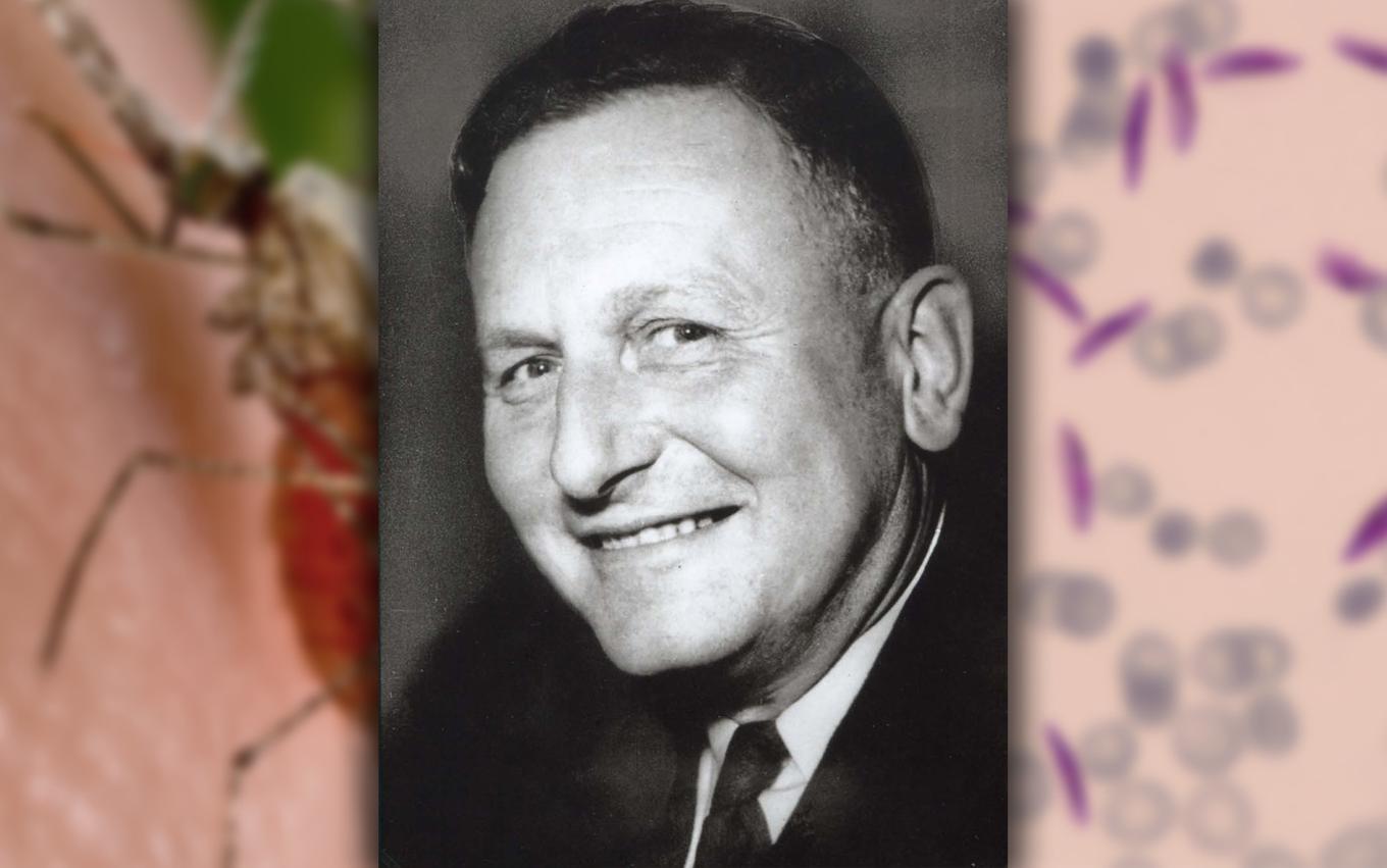 Отавио мюллер актер. Пауль мюллер. Пауль конрат. Роланд мюллер актер. Роланд мюллер актер.