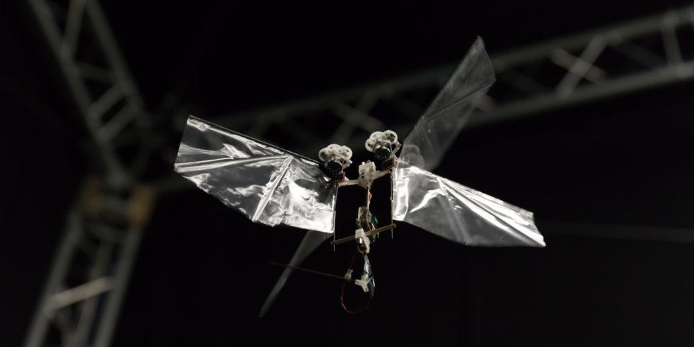 Появились роботы-насекомые, которые прыгают по песку, воде и протискиваются в любые места