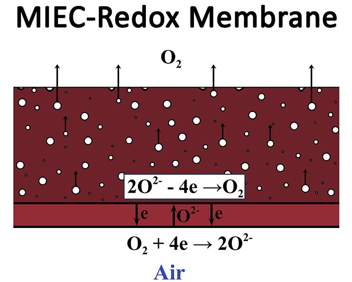 Схематичное изображение мембраны