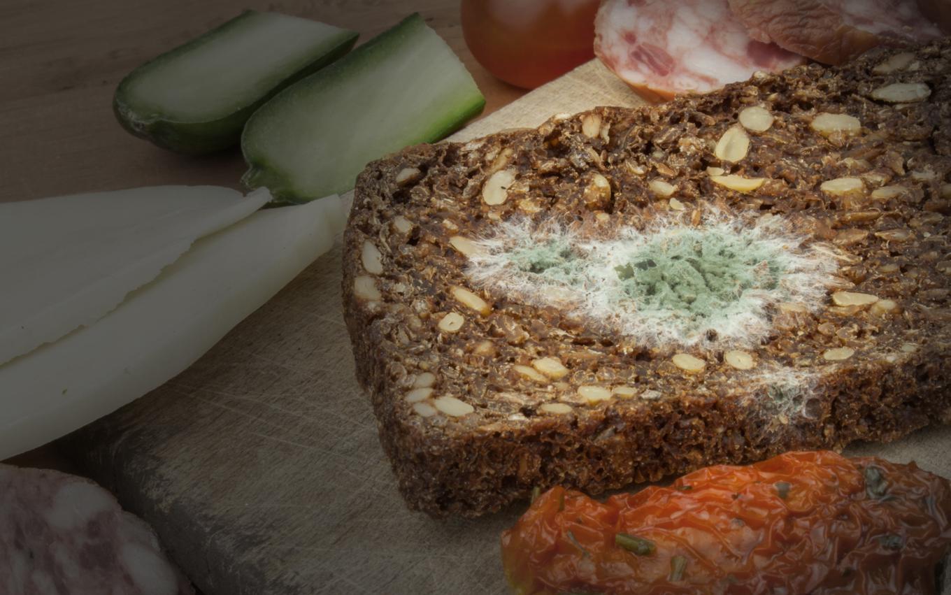 плесень на продуктах. плесень питание. плесневые грибы. плесень на фруктах. плесень на продуктах.