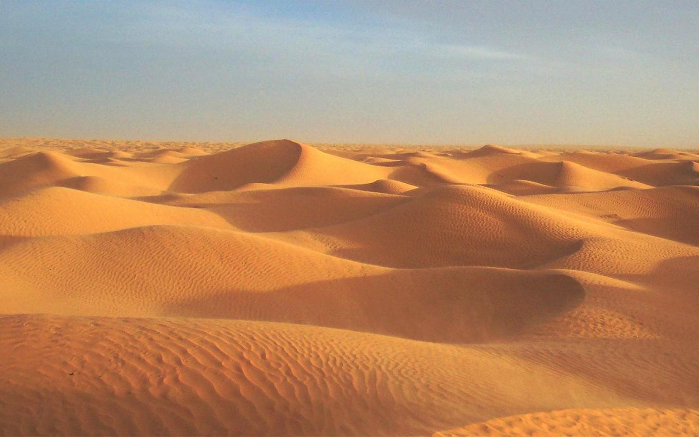 MAG-7 | Песчаные дюны