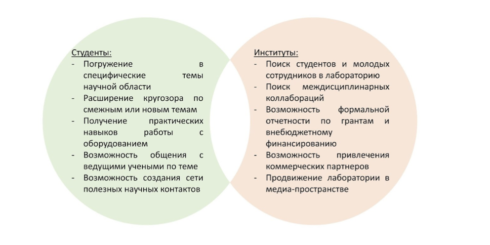 Учимся изучать мозг: школы для молодых нейробиологов. Часть 1