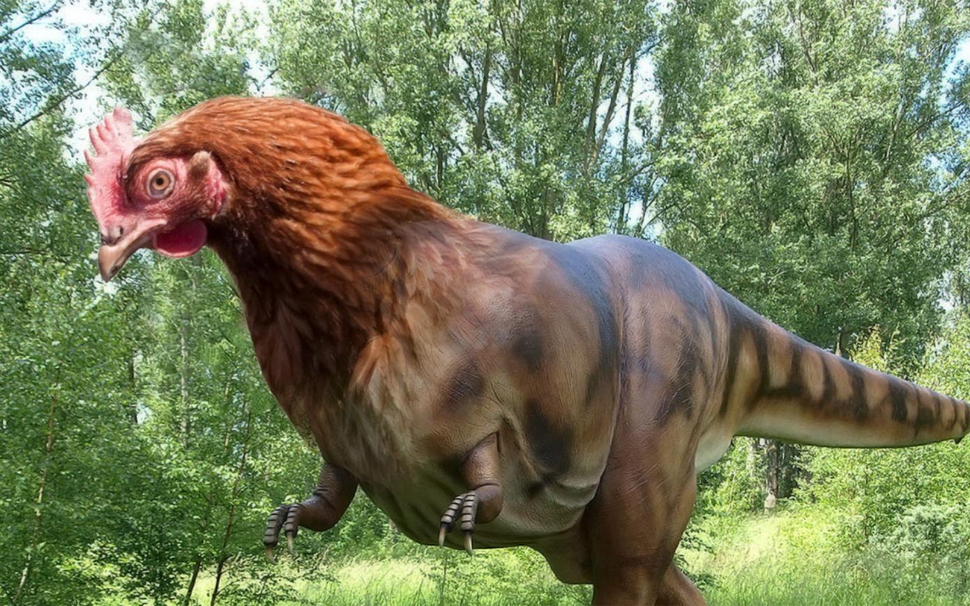 Как Выглядит Динозавры Фото