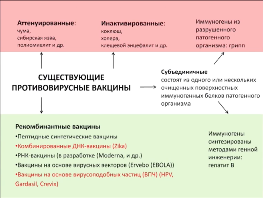 Видя ран. Вакцины на основе вирусоподобных частиц. Вирусоподобные частицы вакцины. Рекомбинантные вирусоподобные частицы
