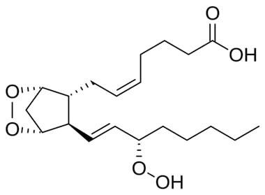 Простагландин G2