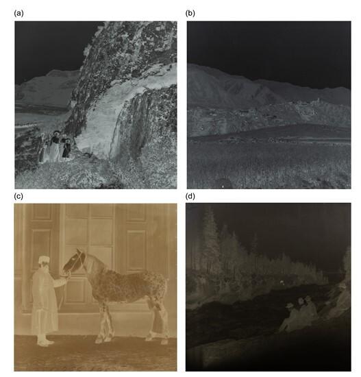 Примеры негативов, использованных в исследовании: a, b — негативы в хорошей сохранности, c, d — негативы с признаками пожелтения.