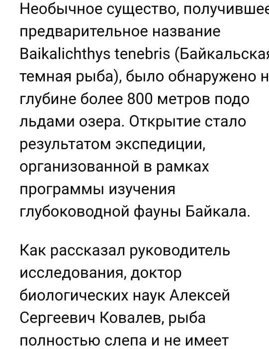 Скрин одной из новостей