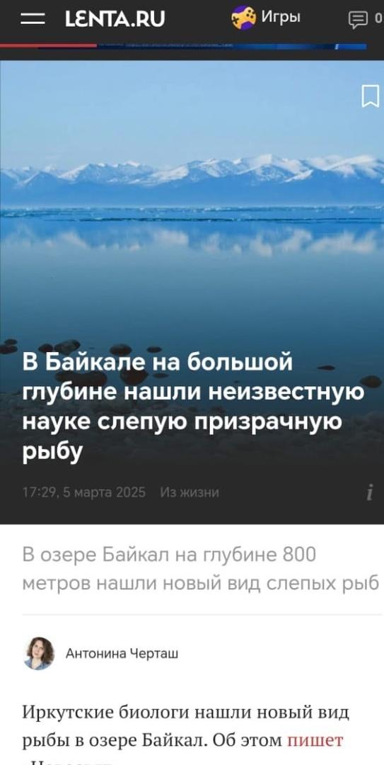 Скрин новости на Lenta.Ru