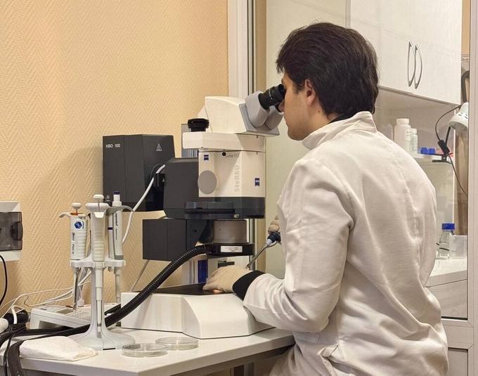 Участник исследования Александр Повернов за работой по пересадке животных в новые культивационные чашки Петри