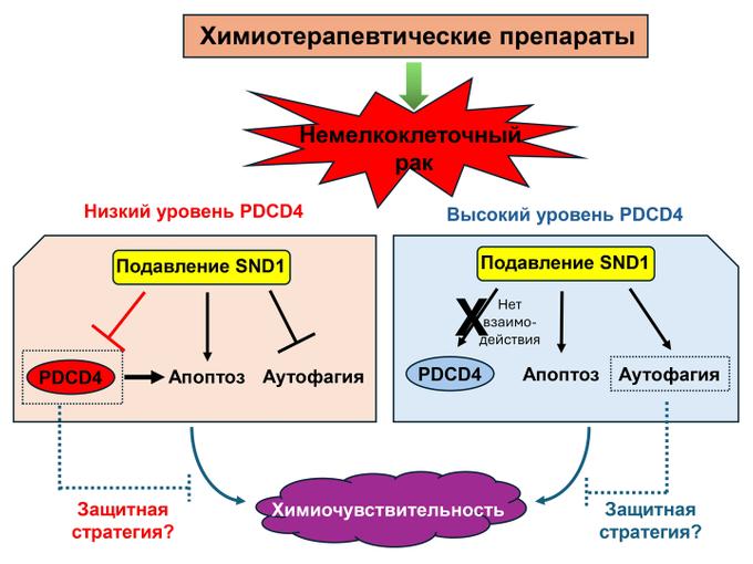 Резюме исследования