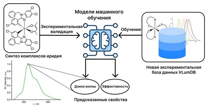 Разработан новый подход к дизайну эффективных иридиевых излучателей для дисплеев