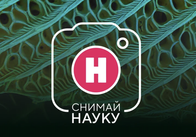 Замерзший мыльный пузырь и туманность Колдун: телеканал «Наука» объявил финалистов фотоконкурса «Снимай науку!»
