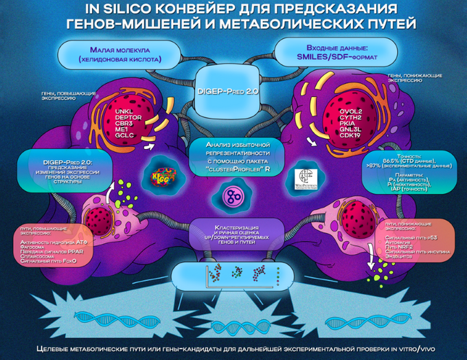 Вышел первый выпуск научного журнала БФУ им. И. Канта по биомедицине