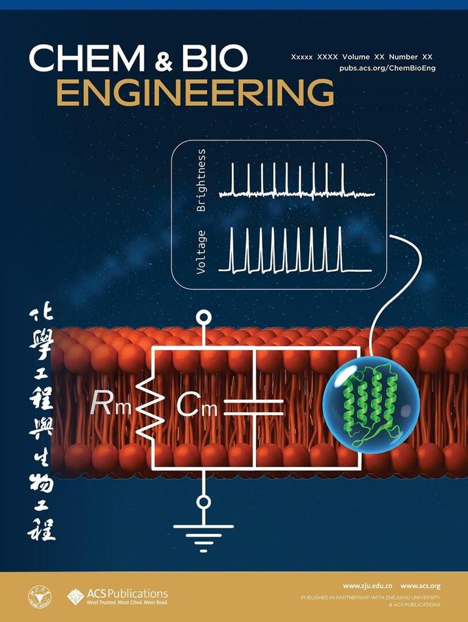 Статья была принята на обложку номера в журнале Chem & Bio Engineering