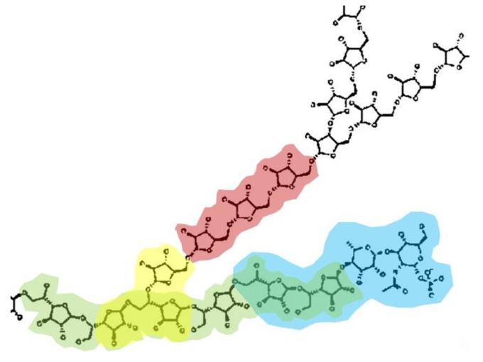 Арабиногалактан из клеточной стенки Mycobacterium tuberculosis