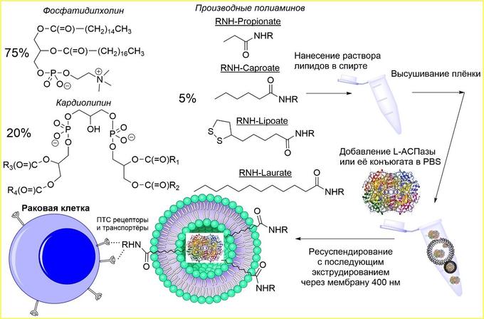 Иллюстрация к статье