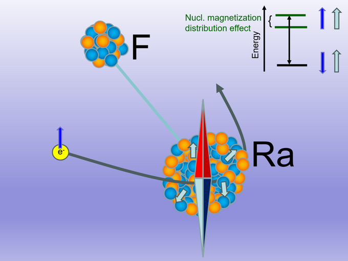 В молекуле RaF электрон (маленький желтый шарик со стрелкой) взаимодействует с магнитным моментом ядра радия (протоны и нейтроны показаны оранжевыми и синими шариками; ядро имеет грушевидную форму). Поскольку электрон с ненулевой вероятностью проникает внутрь ядра, наблюдается сдвиг энергетических уровней молекулы