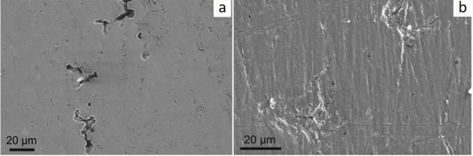 Микроскопические изображения сплава, полученные методами растровой электронной микроскопии, после коррозионных испытаний. а — при минимальной дозе облучения, b — при максимальной дозе облучения