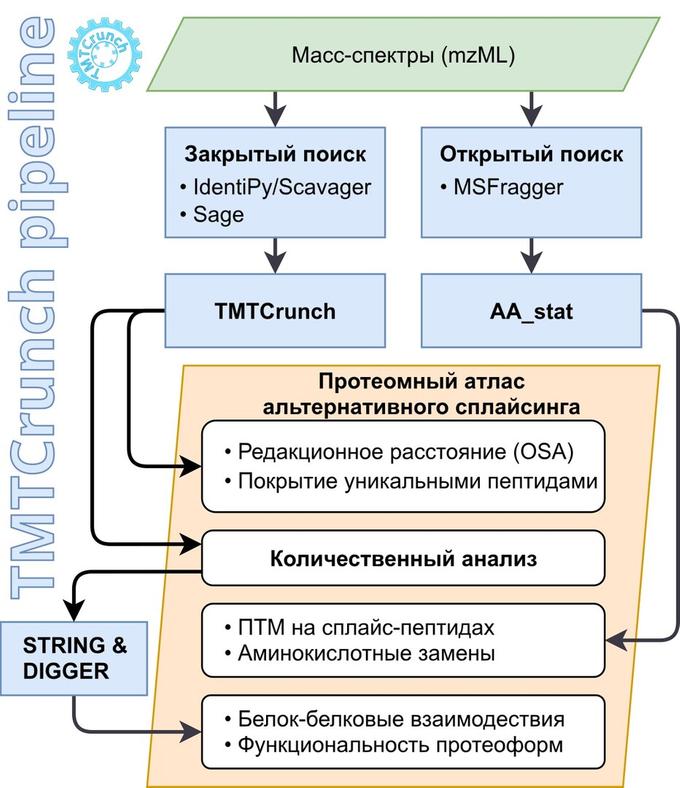 Графический абстракт статьи