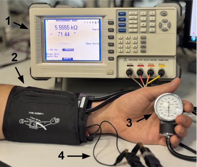 Внешний вид устройства для измерения зависимости импеданса от приложенного давления: 1 — анализатор импеданса, 2 — манжета для измерения артериального давления, 3 — манометр, 4 — электродные провода