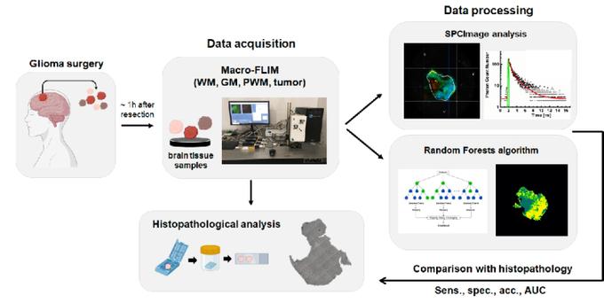 Схема эксперимента