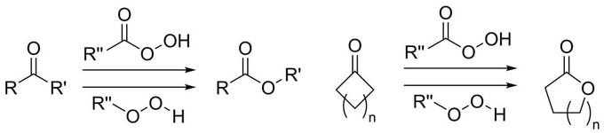 Реакция Байера-Виллигера