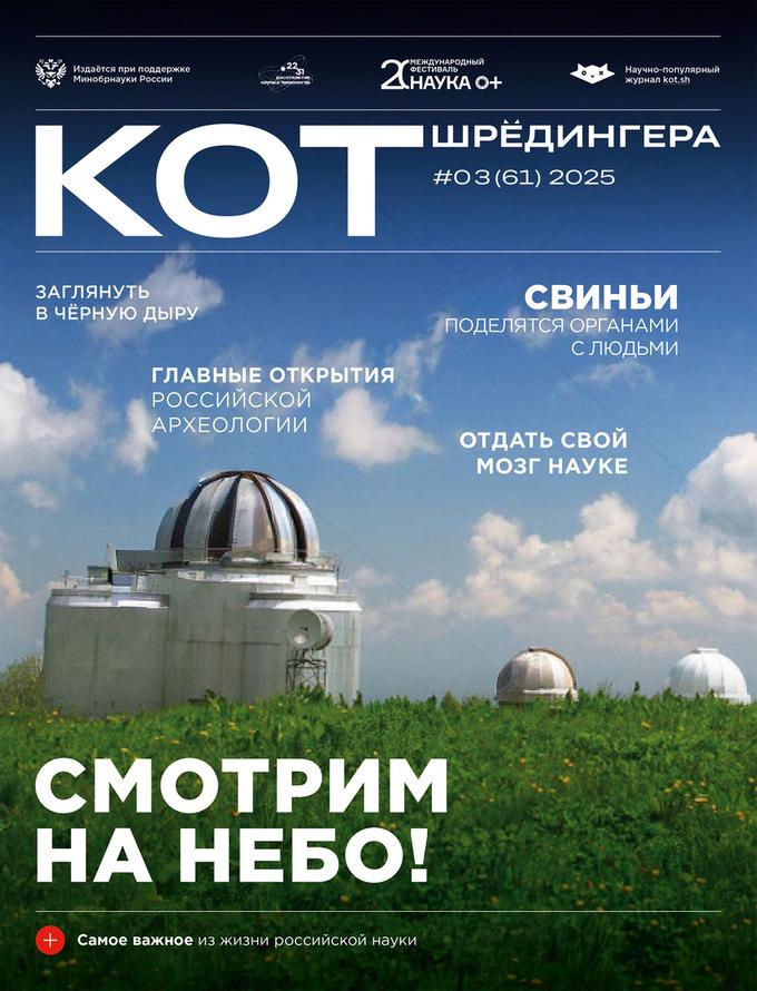 «Кот Шрёдингера» расскажет о космосе