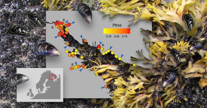 Графический абстракт