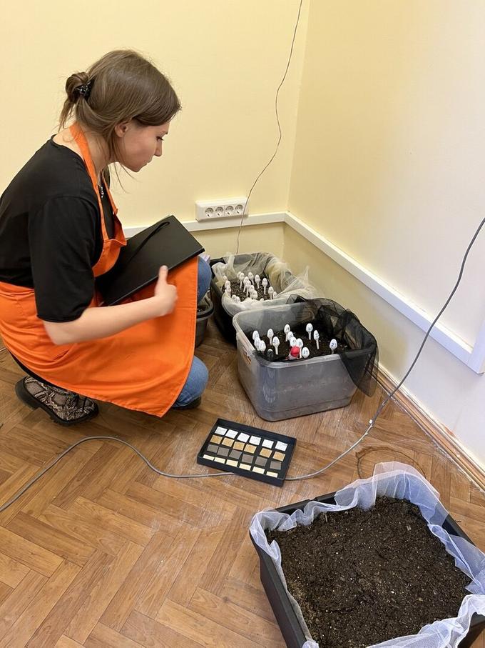 Присутствие каучука в потенциальных полимерных отходах снизит количество микропластика