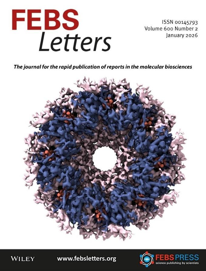 Обложка издания