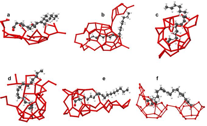 Структура водной «клетки» вокруг молекул поверхностно-активных веществ, использованных в работе