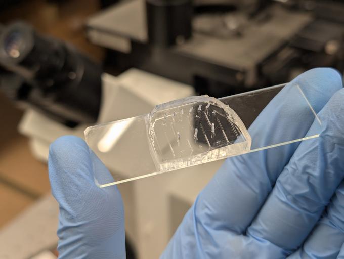 Изображение микрофлюидного устройства