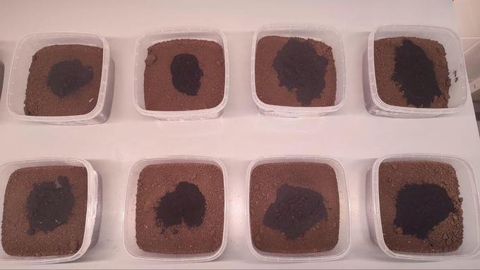 Биоугли, внесенные в почву