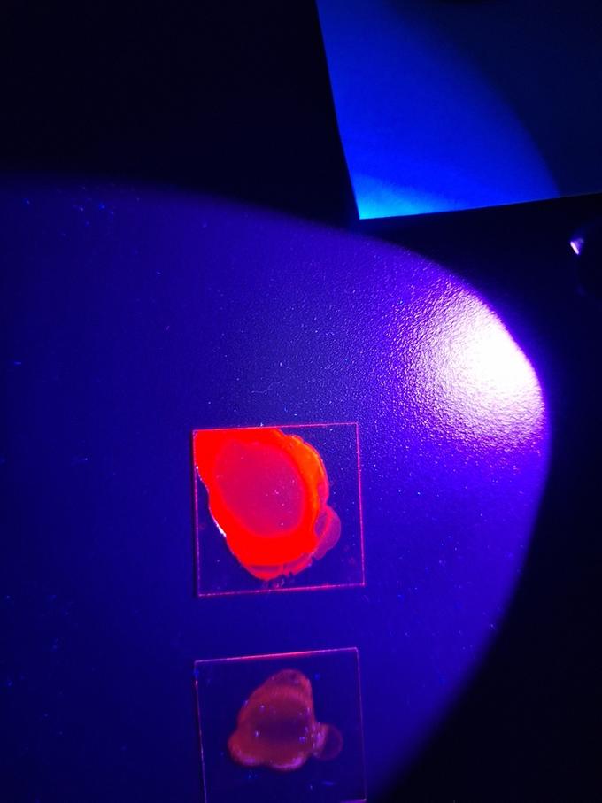 Созданы высокостабильные излучающие органические радикалы для красной и ближней инфракрасной области спектра