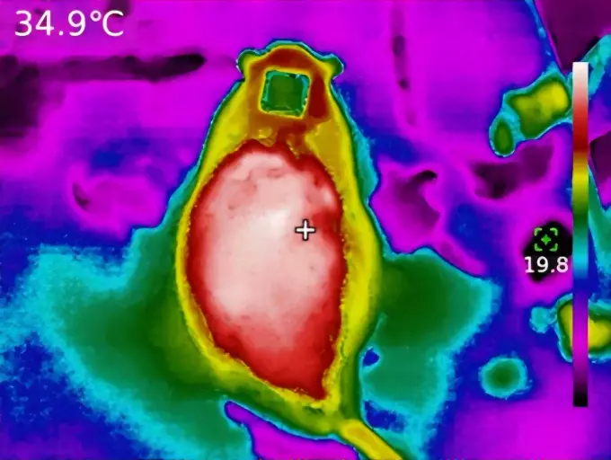 Термограмма области спины животного (крестиком отмечена непосредственно область введения имплантата; в левом верхнем углу значение температуры покровных тканей в этой области)