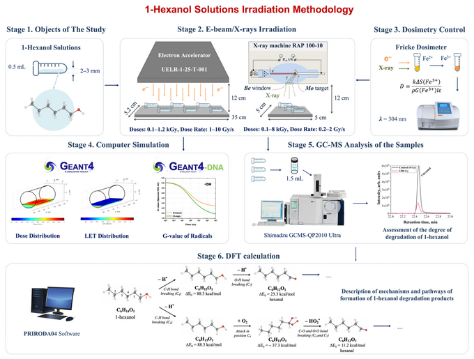 Этапы исследования