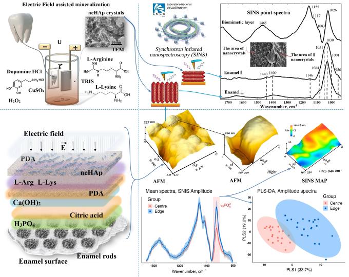 Графическое резюме исследования