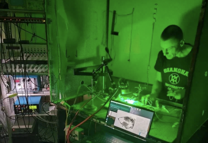 Эксперимент на мозге лабораторной крысы проводит Алексей Соколов, доктор медицинских наук, доцент, заведующий лабораторией экспериментальной фармакологии и терапии боли Института фармакологии им А.В. Вальдмана Санкт-Петербургского государственного медицинского университета имени И.П. Павлова.