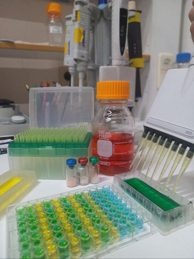 Российские ученые сравнили адамантан и бороводородный кластер в борьбе с современными штаммами вируса гриппа А